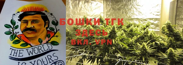 прущие грибы Арсеньев