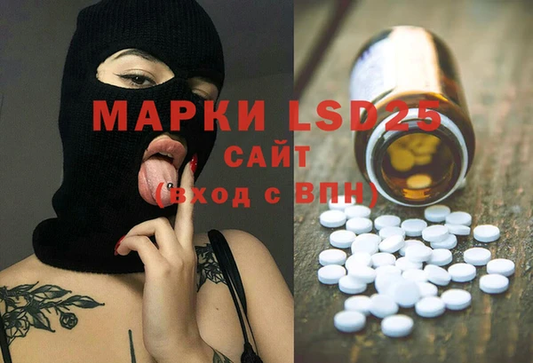 прущие грибы Арсеньев